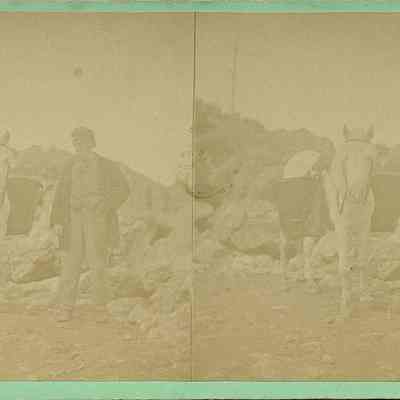 Man and Donkey