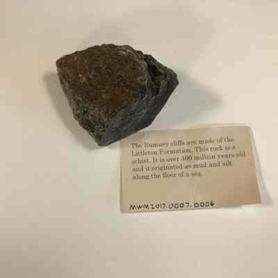 Shist Sample