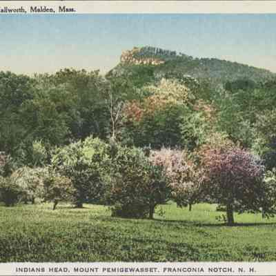 Indians Head, Mount Pemigewasset, Franconia Notch NH