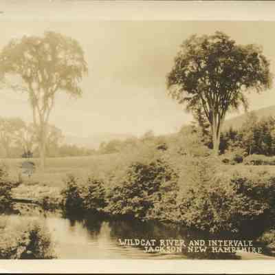 Wildcat River and Intervale, Jackson NH