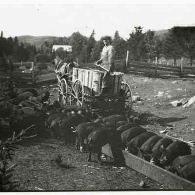 John H. Marshall at The Balsams Stock Farm