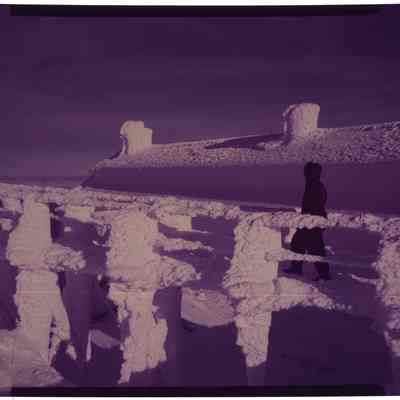 Rime on Summit of Mt. Washington, NH