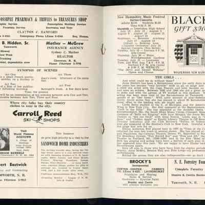 Copyright: Possibly Under Copyright