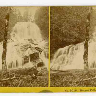 No. 1016. Beaver Falls, Colebrook, N.H.