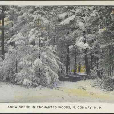 Snow scene in Enchanted Woods, N. Conway, N.H.
