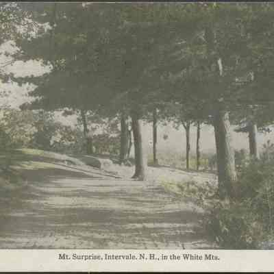 Mt. Surprise, Intervale, N.H. In the White Mts.