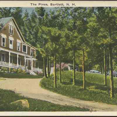 The Pines, Bartlett NH