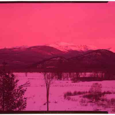 Alpine Glow at Dawn, Mt. Washington, NH