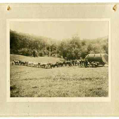 Teams Pull Metal Cistern to The Balsams