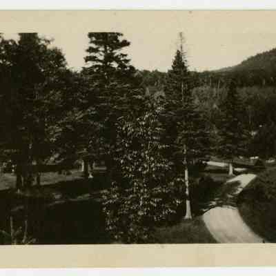 The Balsams