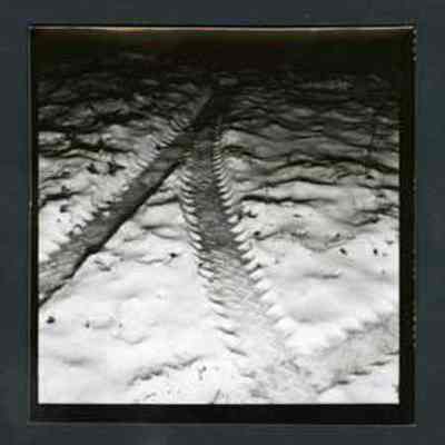 Car tire marks