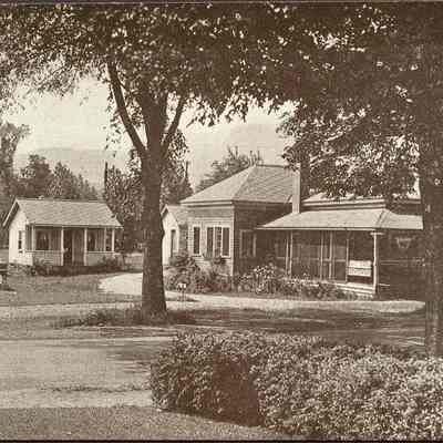Cabins Among Trees