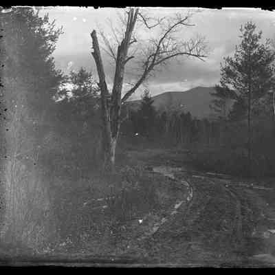 Dirt Path