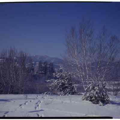 Moat Mt., North Conway, NH