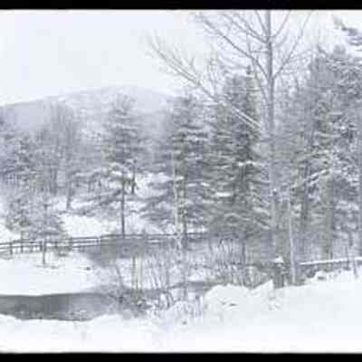 Winter Landscape