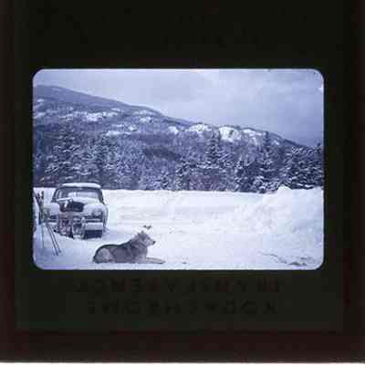 Pinkham Notch Camp