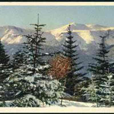 1451- Mt. Washington from Wildcat Ski Trail, White Mountains, New Hampshire