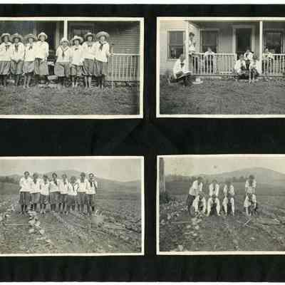 The Balsams