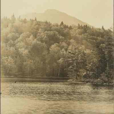 Shoreline with Trees and Mountain