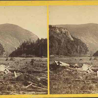 Clearing with Mountains in Background