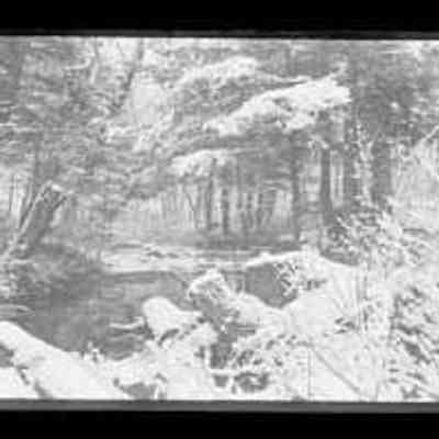 Snow Scene Stream Bed