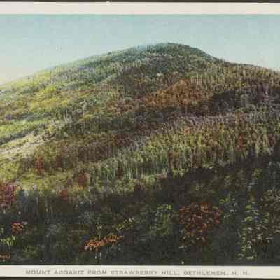 Mount Aggasiz from Strawberry Hill, Bethlehem NH