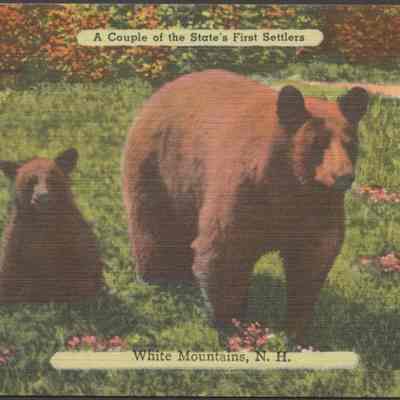 A couple of the state's first settlers, White Mountains NH