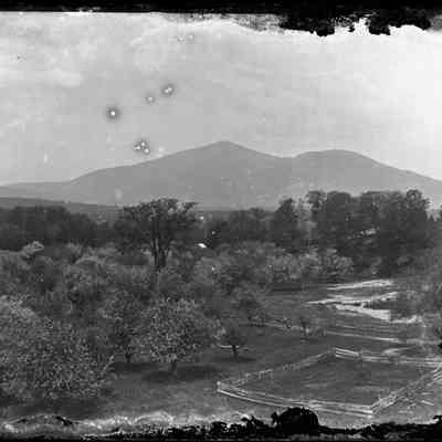 Trees with Enclosed Land and Mountain