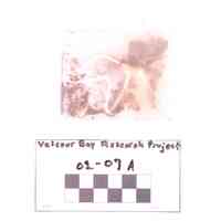 Fragment, Shavings - Image 2