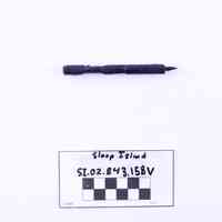 Carriage Bolt - Image 2
