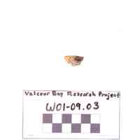 Fragment, Fuse - Image 2