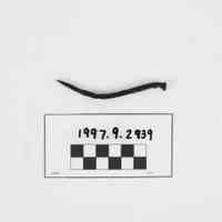 Nail - Image 2