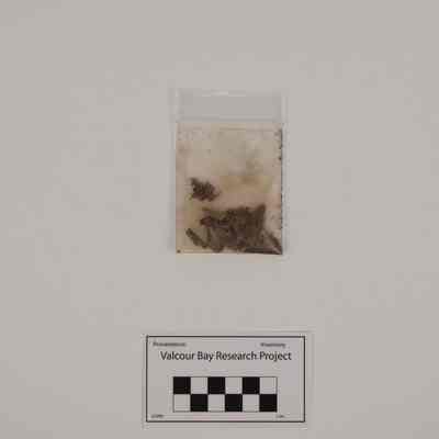 Fragment, Shavings