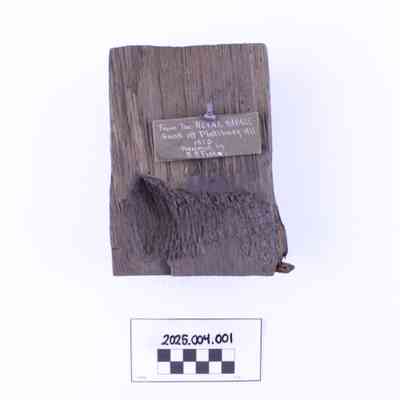 Fragment, Royal Savage