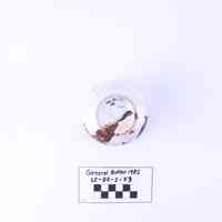 Cup - Image 2