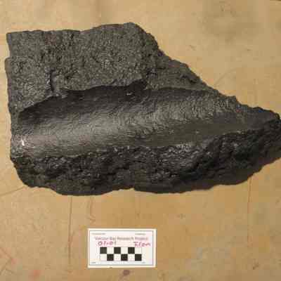 Fragment, Cannon Barrel