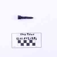 Carriage Bolt - Image 2