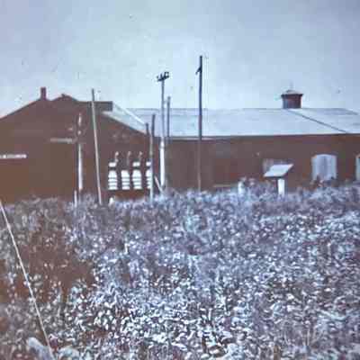 Boyd Park - Station and Shops 1920's