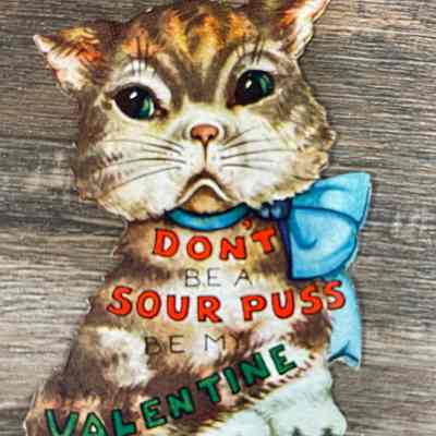 Valentine's Day Card