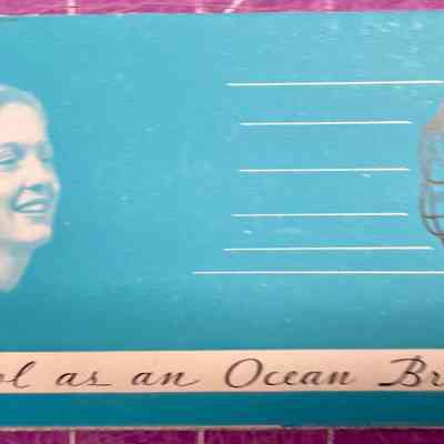 Cool As An Ocean Breeze - Delco Ventilating Fans