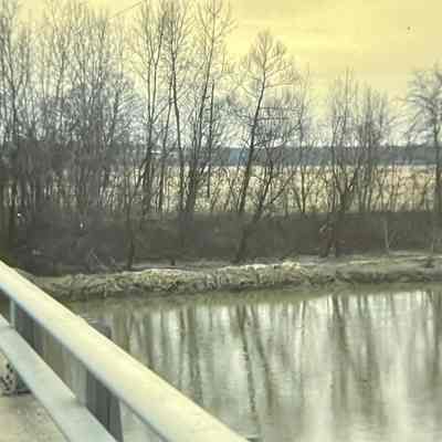 Boyd Park - North from Bridge Site of Roller Coaster (1991)
