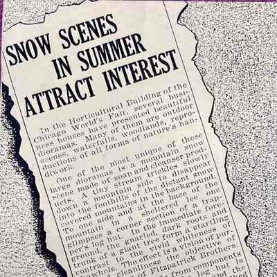 Snow Scenes in Summer Attract Interest