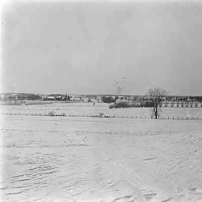 Glass Negative