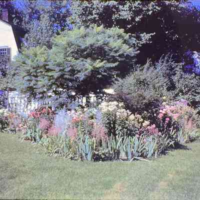 Mrs. George Graf and Ray Searl's Border