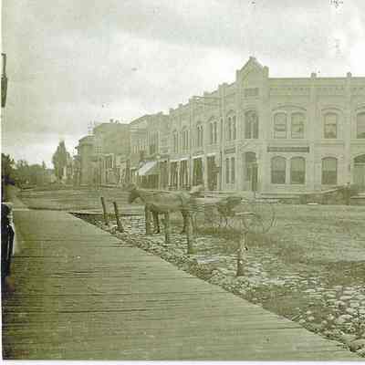 Watson 100 Block East looks South c.1883