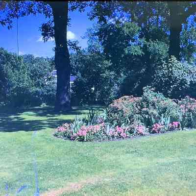 RC Labisky Flower Border 1947