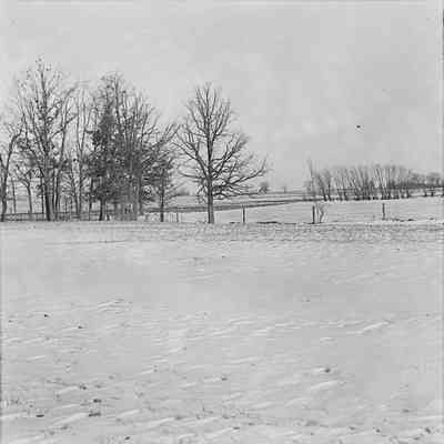 Glass Negative