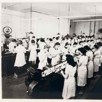 Dried Egg Factory 1940s