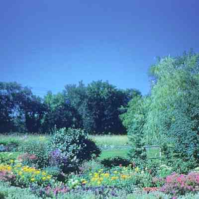 Denbrook's Rock Garden