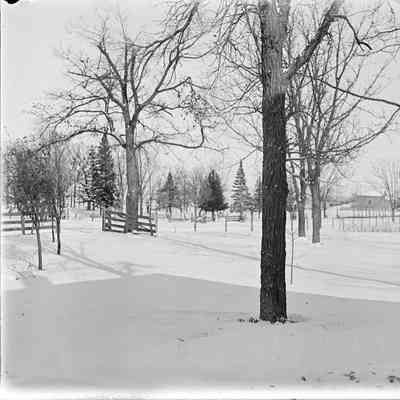 Glass Negative